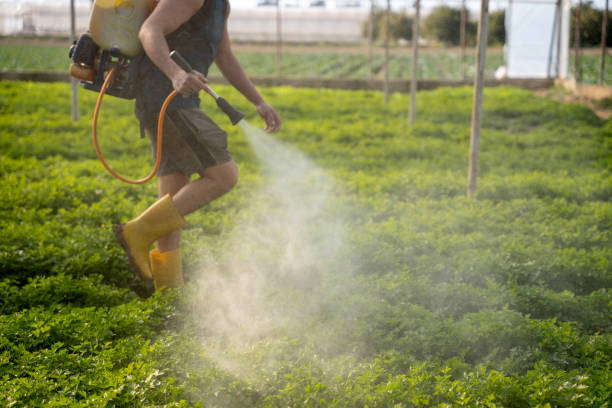 Best Residential Pest Control  in Victoria, TX