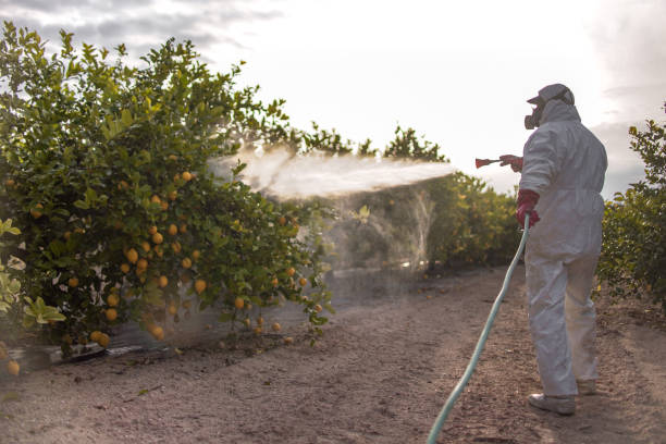 Best Local Pest Control Services  in Victoria, TX