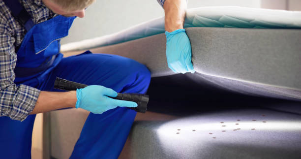 Best Best Pest Control Companies  in Victoria, TX
