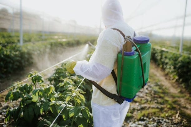 Best Exterminator Services  in Victoria, TX
